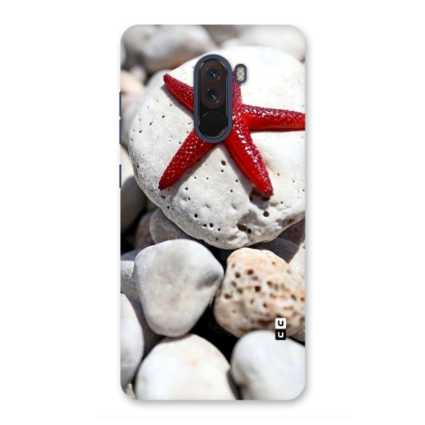 Red Star Fish Back Case for Poco F1