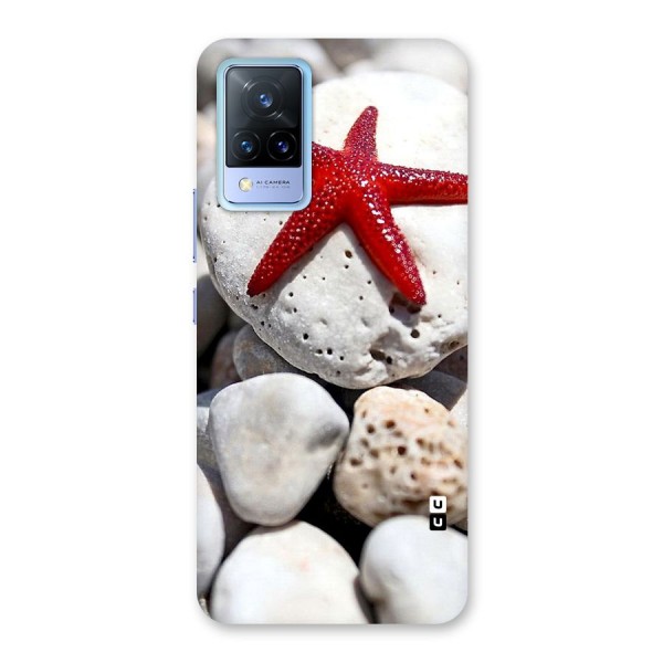 Red Star Fish Back Case for Vivo V21 5G