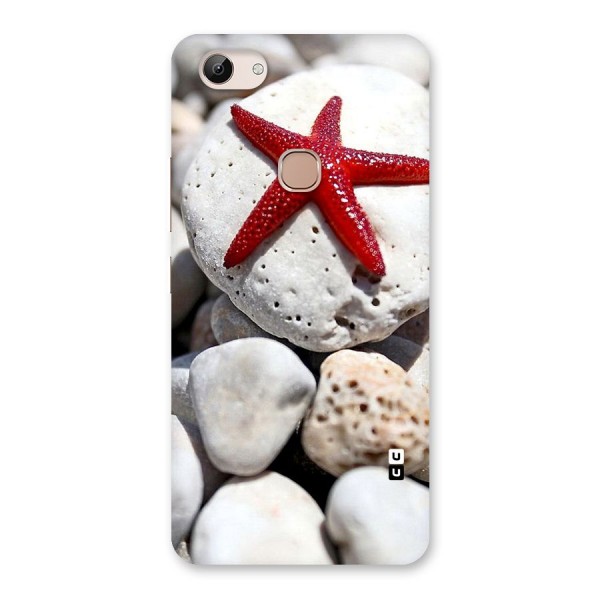 Red Star Fish Back Case for Vivo Y83