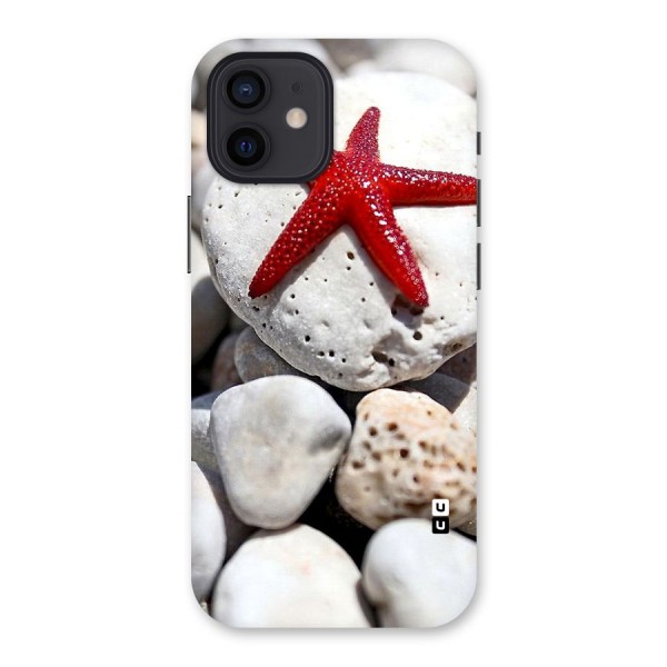 Red Star Fish Back Case for iPhone 12