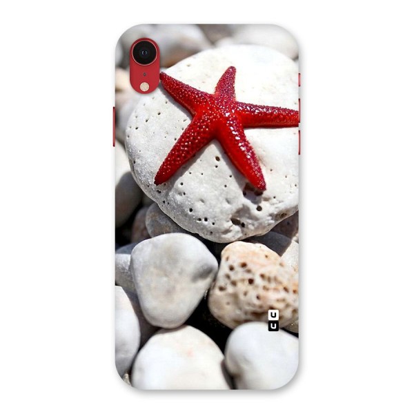 Red Star Fish Back Case for iPhone XR