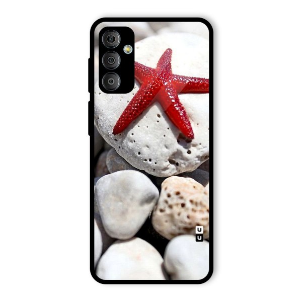 Red Star Fish Glass Back Case for Galaxy F23