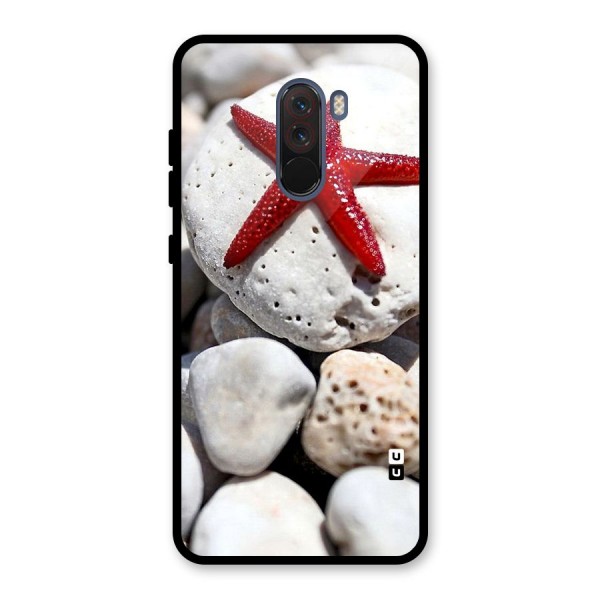 Red Star Fish Glass Back Case for Poco F1