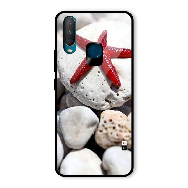 Red Star Fish Glass Back Case for Vivo Y12