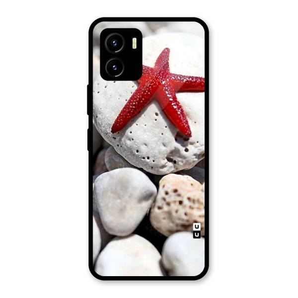 Red Star Fish Glass Back Case for Vivo Y15s