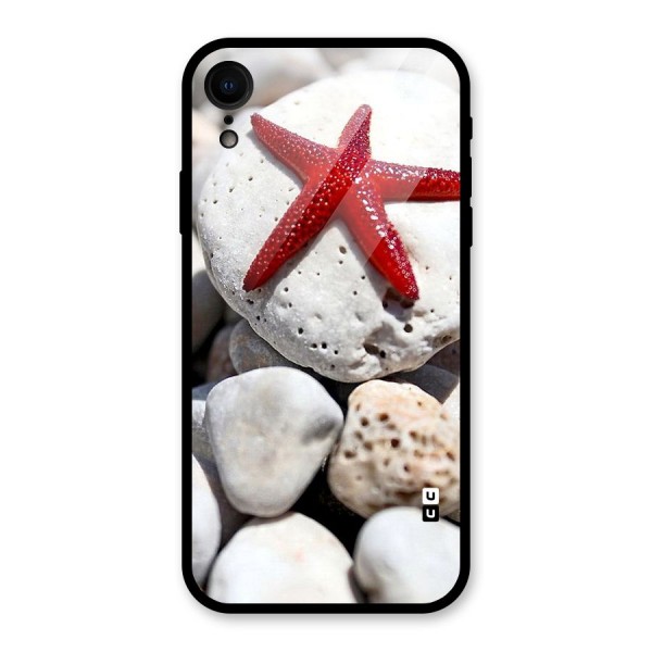 Red Star Fish Glass Back Case for XR