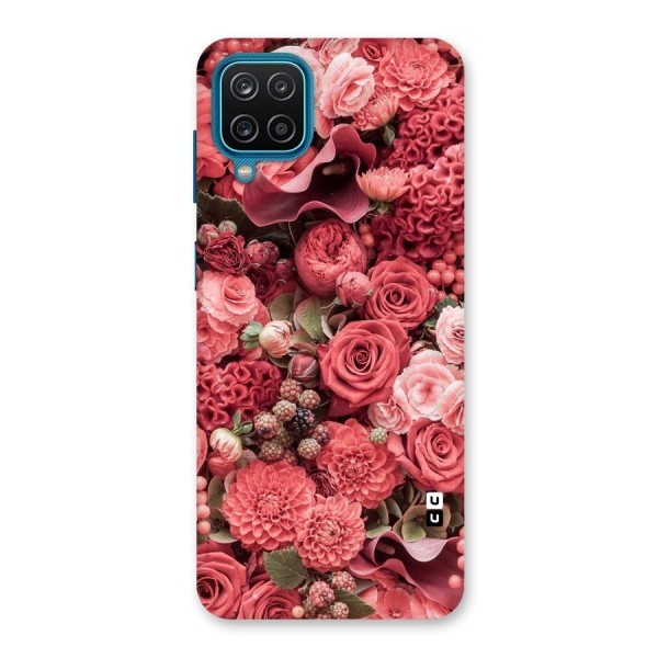 Shades Of Peach Back Case for Galaxy F12