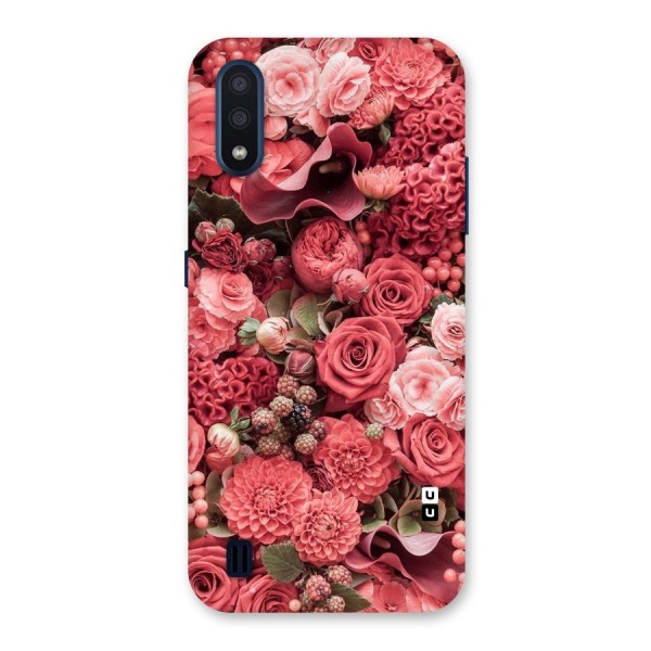 Shades Of Peach Back Case for Galaxy M01