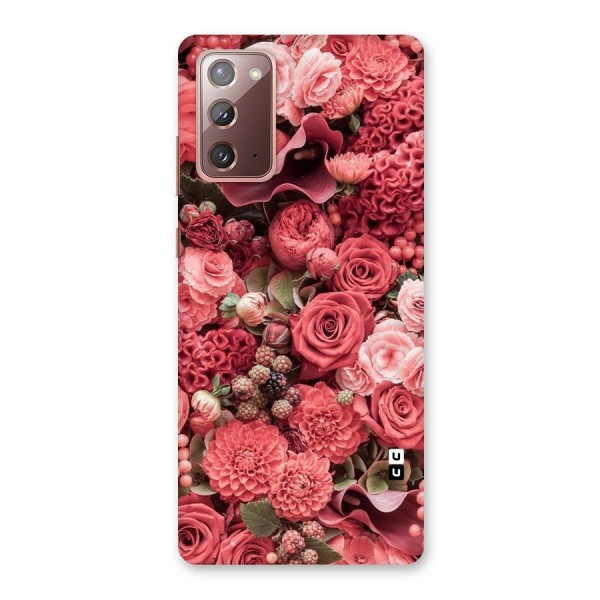 Shades Of Peach Back Case for Galaxy Note 20