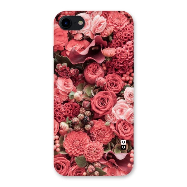 Shades Of Peach Back Case for iPhone SE 2020