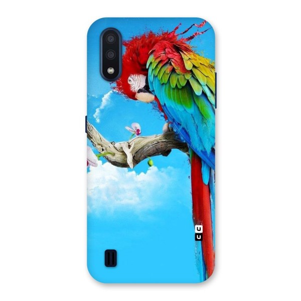 Sky Parrot Back Case for Galaxy M01