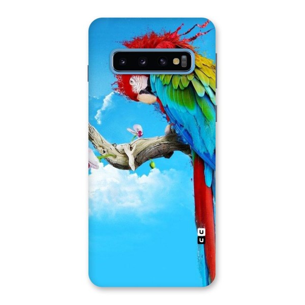 Sky Parrot Back Case for Galaxy S10