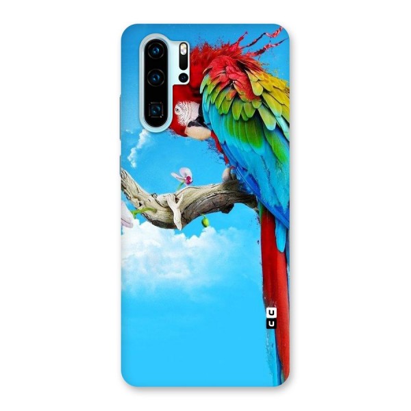 Sky Parrot Back Case for Huawei P30 Pro