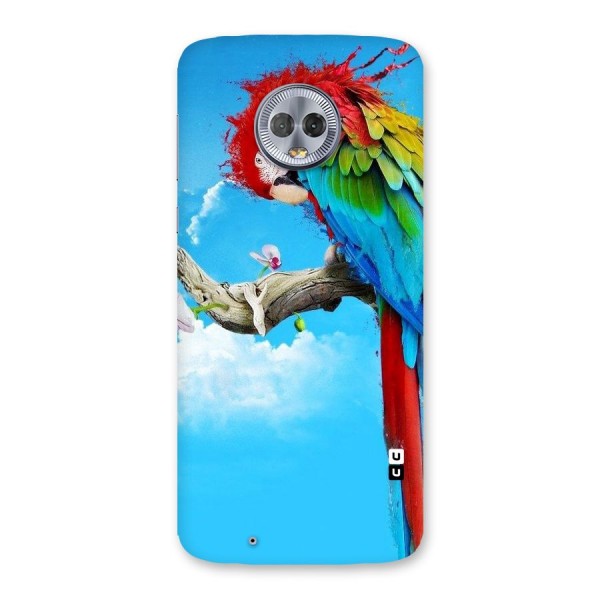 Sky Parrot Back Case for Moto G6