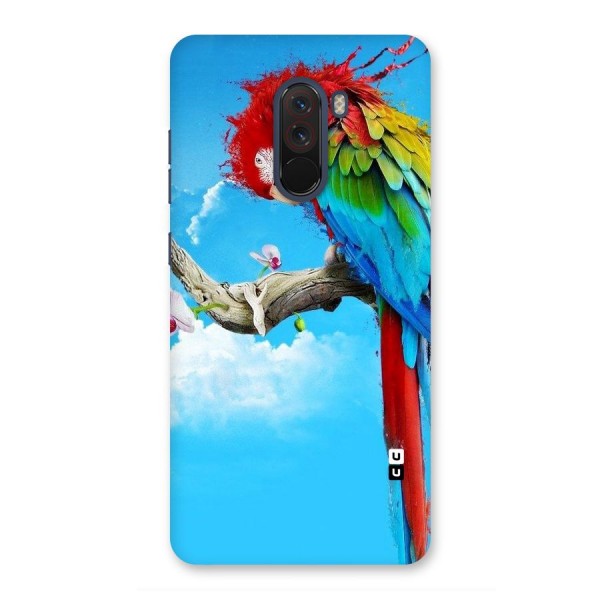 Sky Parrot Back Case for Poco F1