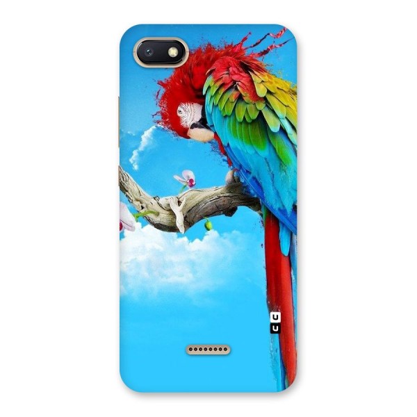 Sky Parrot Back Case for Redmi 6A