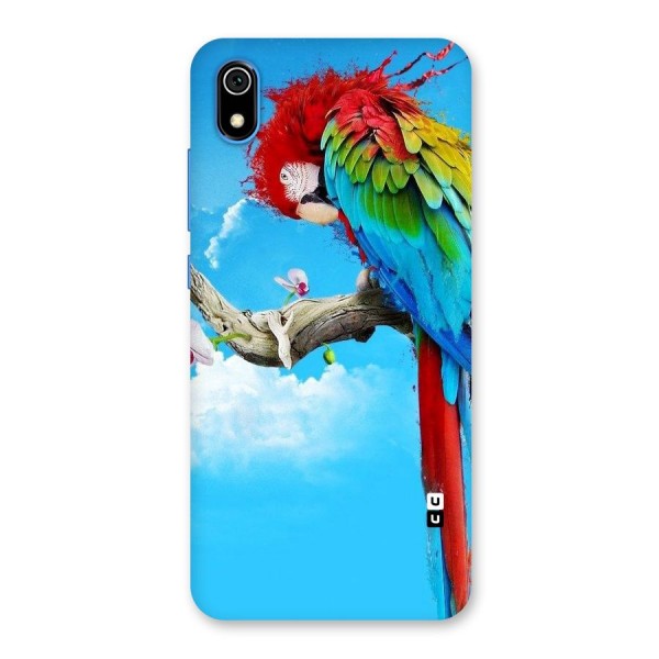 Sky Parrot Back Case for Redmi 7A