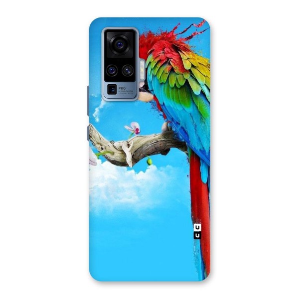 Sky Parrot Back Case for Vivo X50 Pro