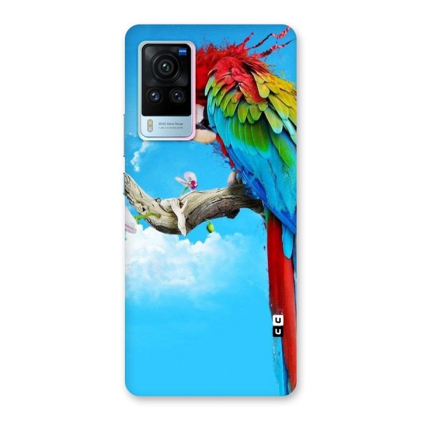 Sky Parrot Back Case for Vivo X60 Pro