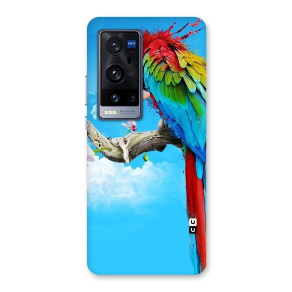 Sky Parrot Back Case for Vivo X60 Pro Plus