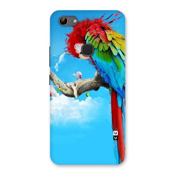 Sky Parrot Back Case for Vivo Y81