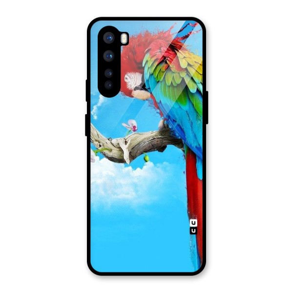 Sky Parrot Glass Back Case for OnePlus Nord