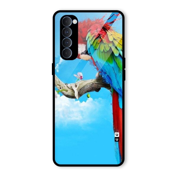 Sky Parrot Glass Back Case for Oppo Reno4 Pro