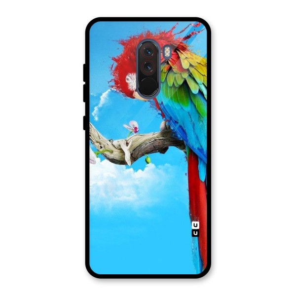 Sky Parrot Glass Back Case for Poco F1