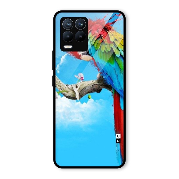 Sky Parrot Glass Back Case for Realme 8 Pro