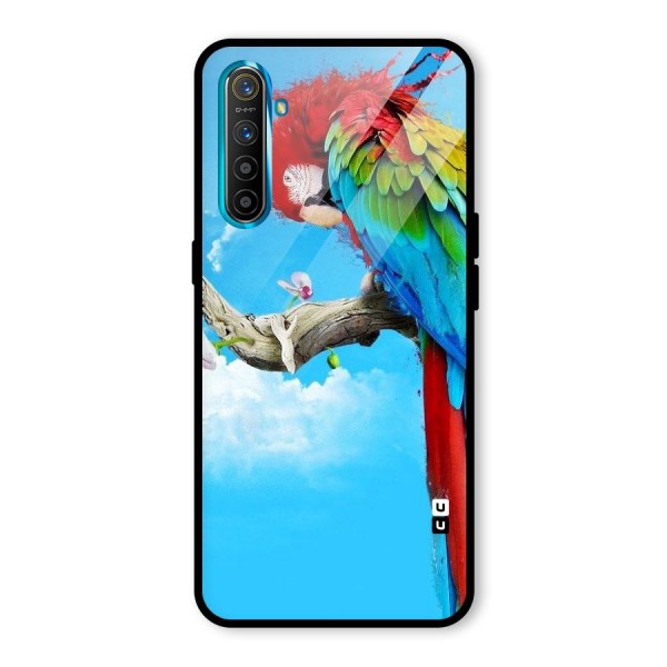 Sky Parrot Glass Back Case for Realme XT