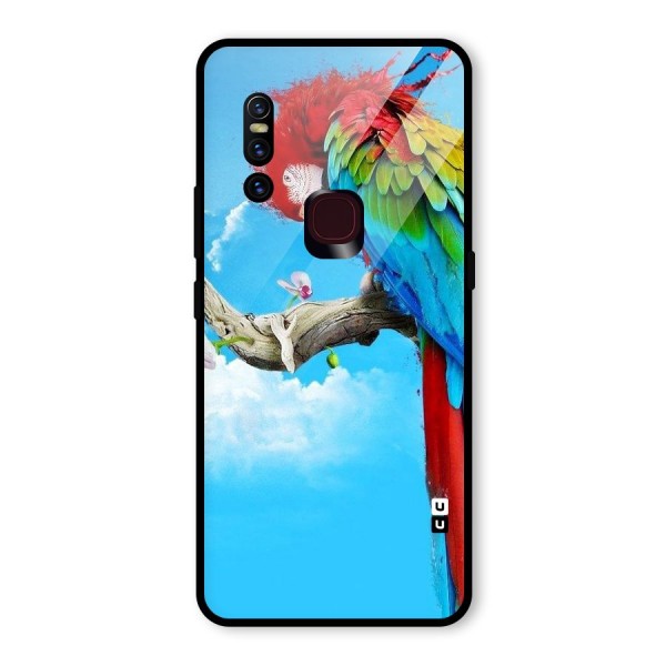 Sky Parrot Glass Back Case for Vivo V15