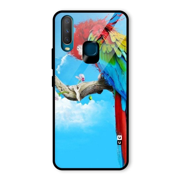 Sky Parrot Glass Back Case for Vivo Y12