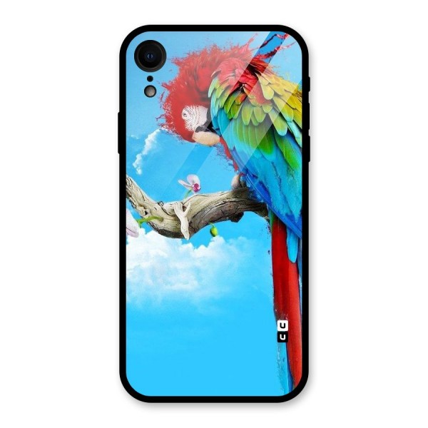 Sky Parrot Glass Back Case for XR