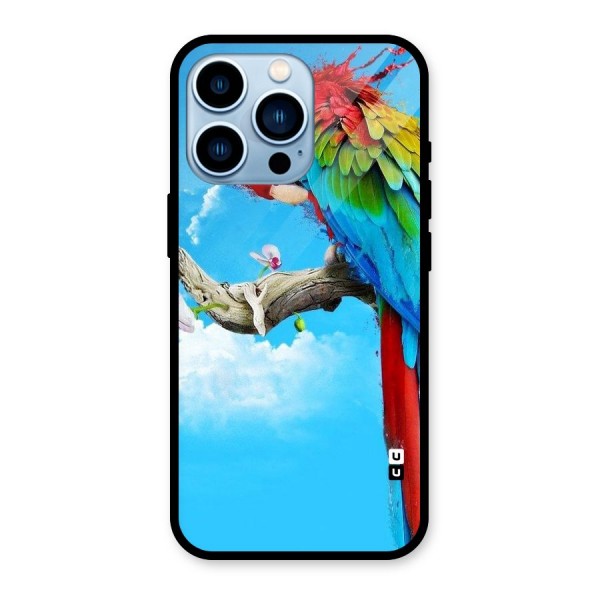 Sky Parrot Glass Back Case for iPhone 13 Pro