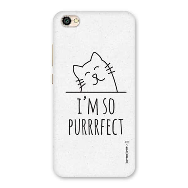 So Purrfect Back Case for Redmi Y1 Lite