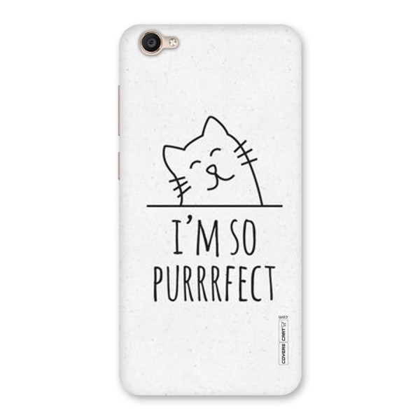 So Purrfect Back Case for Vivo Y55s