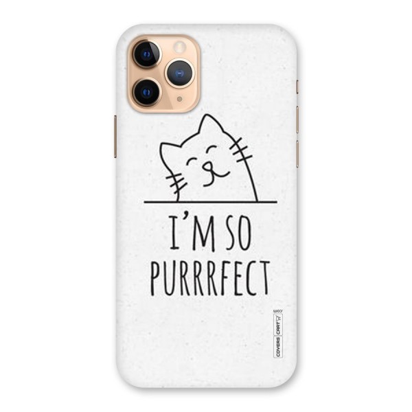 So Purrfect Back Case for iPhone 11 Pro