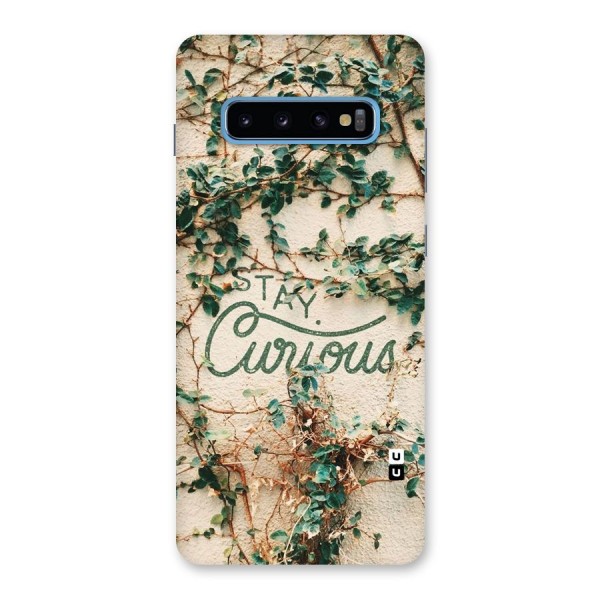 Stay Curious Back Case for Galaxy S10 Plus