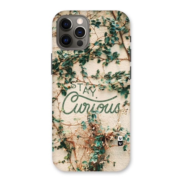 Stay Curious Back Case for iPhone 12 Pro