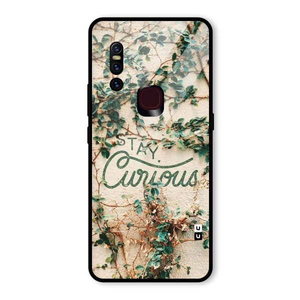 Stay Curious Glass Back Case for Vivo V15