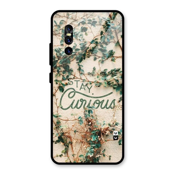 Stay Curious Glass Back Case for Vivo V15 Pro