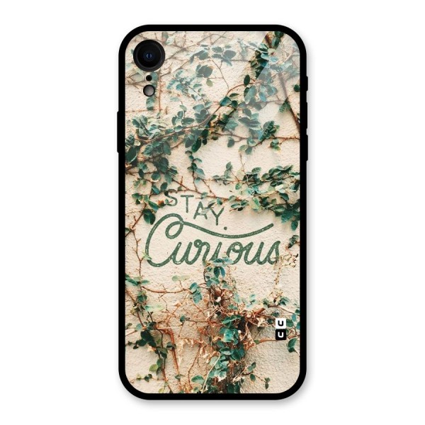 Stay Curious Glass Back Case for XR