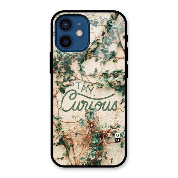 Stay Curious Glass Back Case for iPhone 12 Mini