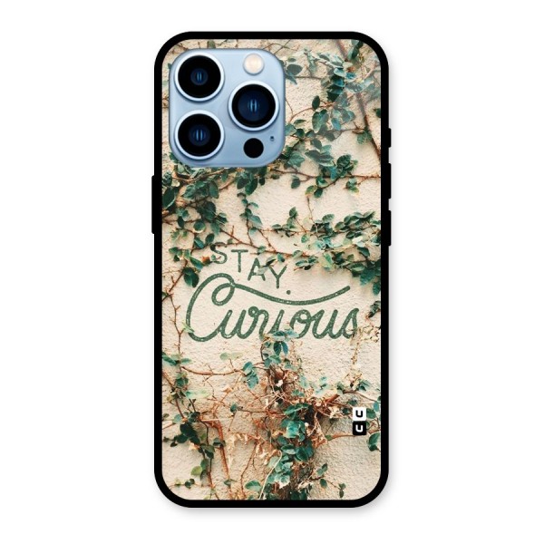 Stay Curious Glass Back Case for iPhone 13 Pro