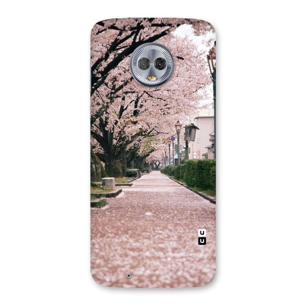 Street In Pink Flowers Back Case for Moto G6