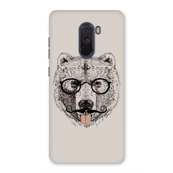 Studious Bear Back Case for Poco F1