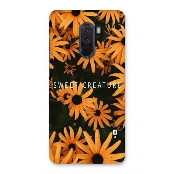 Sweet Creature Back Case for Poco F1