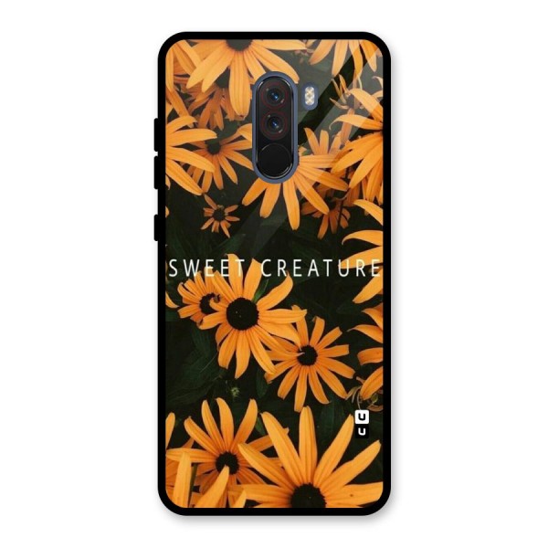 Sweet Creature Glass Back Case for Poco F1