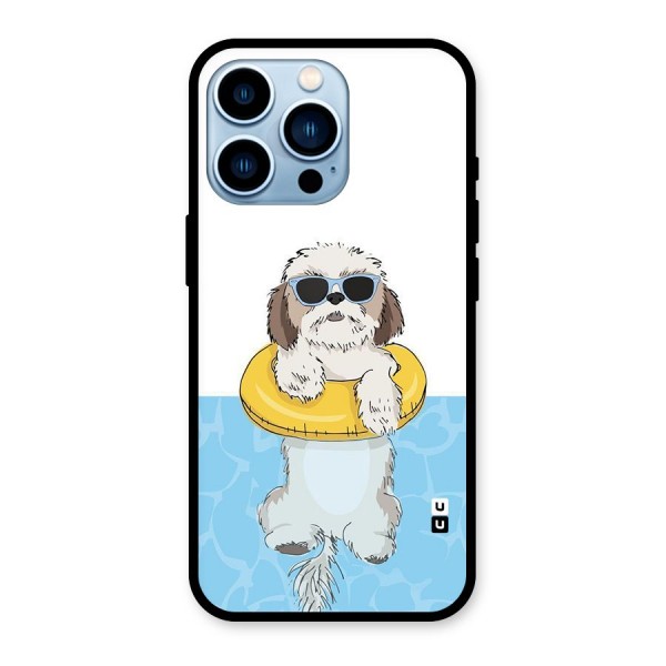 Swimming Doggo Glass Back Case for iPhone 13 Pro