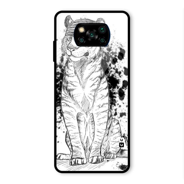 Tiger Wink Glass Back Case for Poco X3 Pro